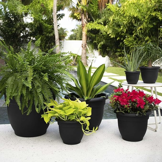 Bloem Ariana 8" Self-Watering Plastic Planter - Rolled Rim Indoor/Outdoor Garden Pot, Black