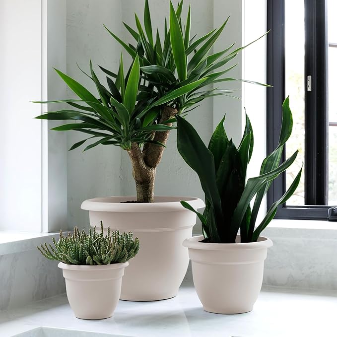 Bloem Ariana 8" Vanilla Bean Round Self-Watering Resin Planter Pot - Rolled Rim Indoor and Outdoor Gardening Planter