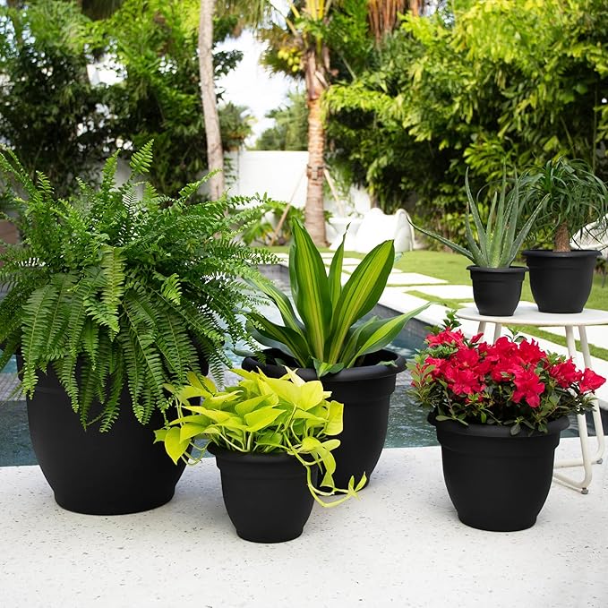Bloem Ariana 6" Self-Watering Plastic Planter - Rolled Rim Indoor/Outdoor Garden Pot, Black