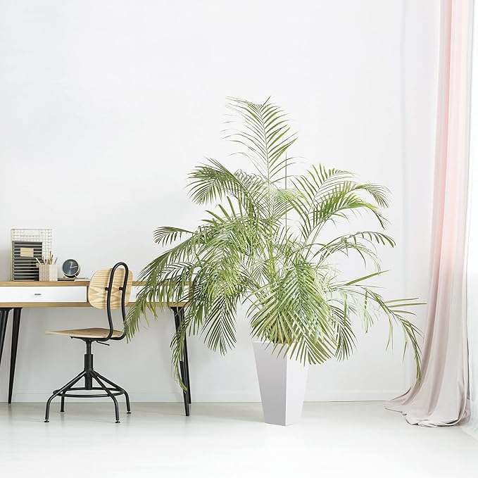 Bloem Tall Finley Tapered Square Planter: 20" - Casper White - Matte Textured Finish, 100% Recycled Plastic Pot, for Indoor and Outdoor Use, Gardening, 5 Gallon Capacity