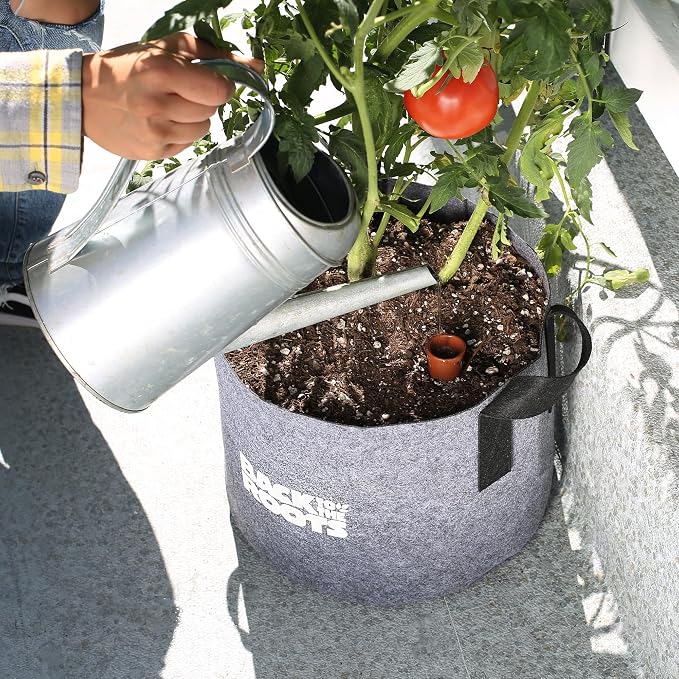 Back to the Roots Self-Watering Terracotta Olla Pot, 700mL Provides 1 Week of Precision Watering - Image 8