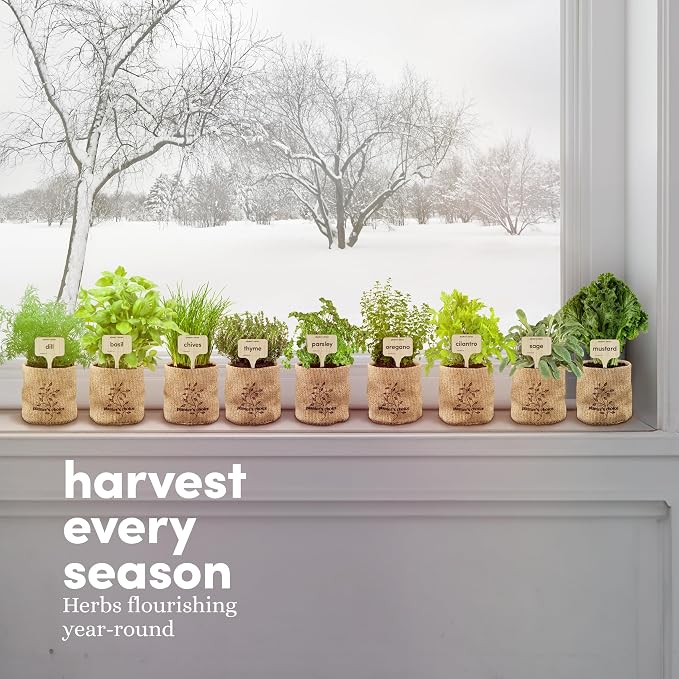 Planters' Choice 9 Herb Indoor Window Garden Kit - Mothers Day Gifts - House Plants Seeds - Best Unique Gift Ideas for Women, Mom, Friend, Her, Birthday, Housewarming, Mother - Live Plant Starter - Image 8