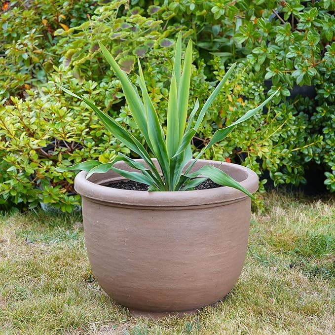 Crescent Garden Agave Planter, Classic Lightweight Resin Planter - UV-Resistant Flower Pots - Indoor & Outdoor Pot for Flowers, Houseplant, Herbs, 14" W x 11" H (Parchment)
