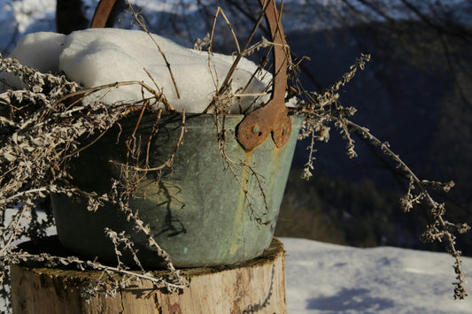 [GREENMENT] The "Bubble Wrap Pot Frost Collar": How to stop terracotta container pots from cracking during sudden winter freezes