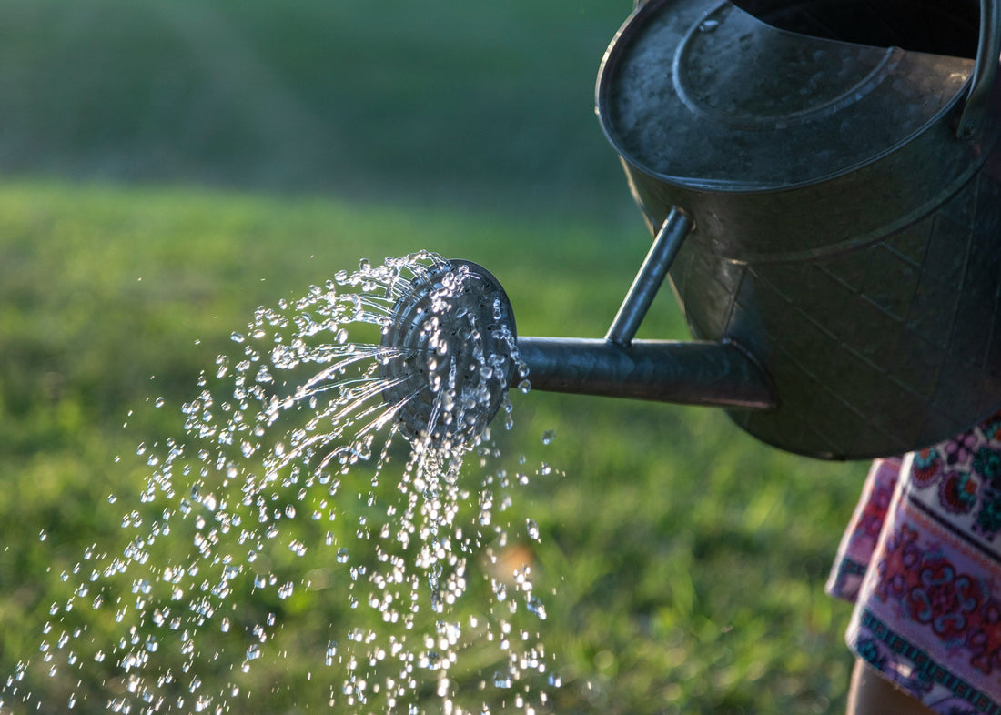 [GREENMENT] Why is a drip irrigation system better for my garden than a regular hose?