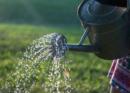 [GREENMENT] Why is a drip irrigation system better for my garden than a regular hose?