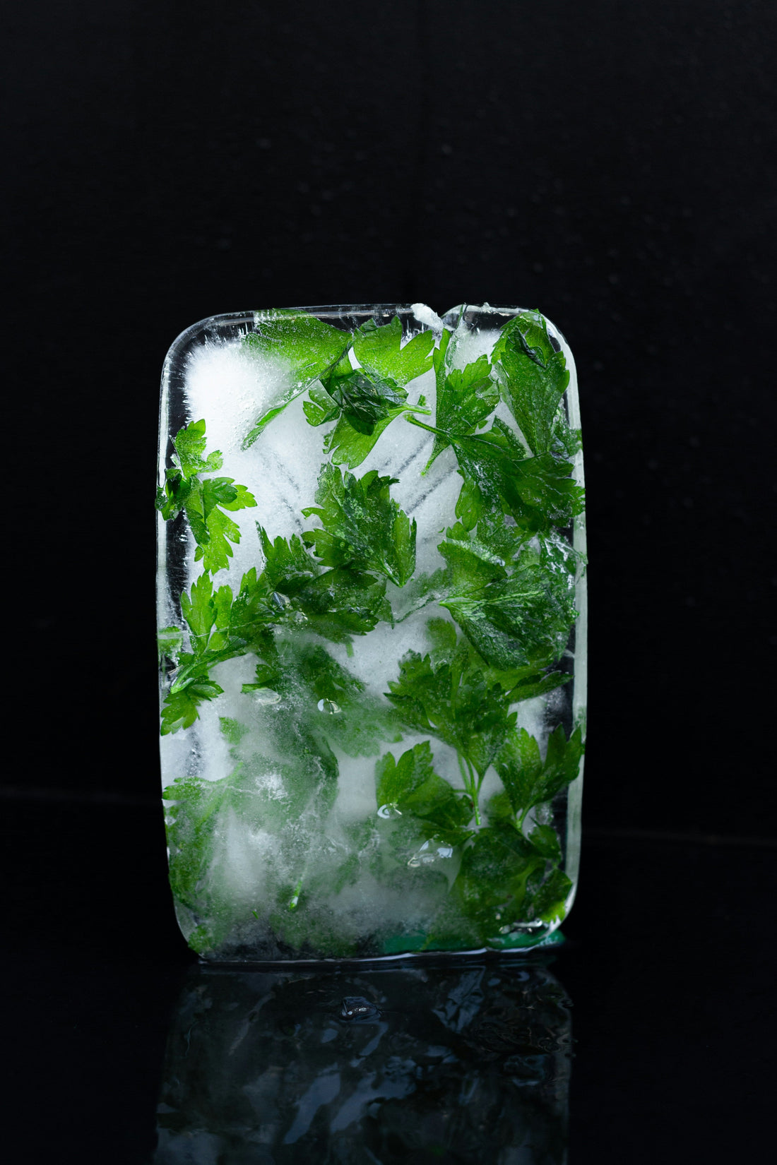 [GREENMENT] The "Ice Cube Hydration" Trick: How to water sensitive indoor orchids without root burn or spills