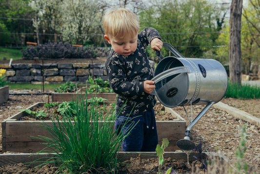 [GREENMENT] The "Oxygen Rescue": How to save a houseplant that’s drowning from overwatering