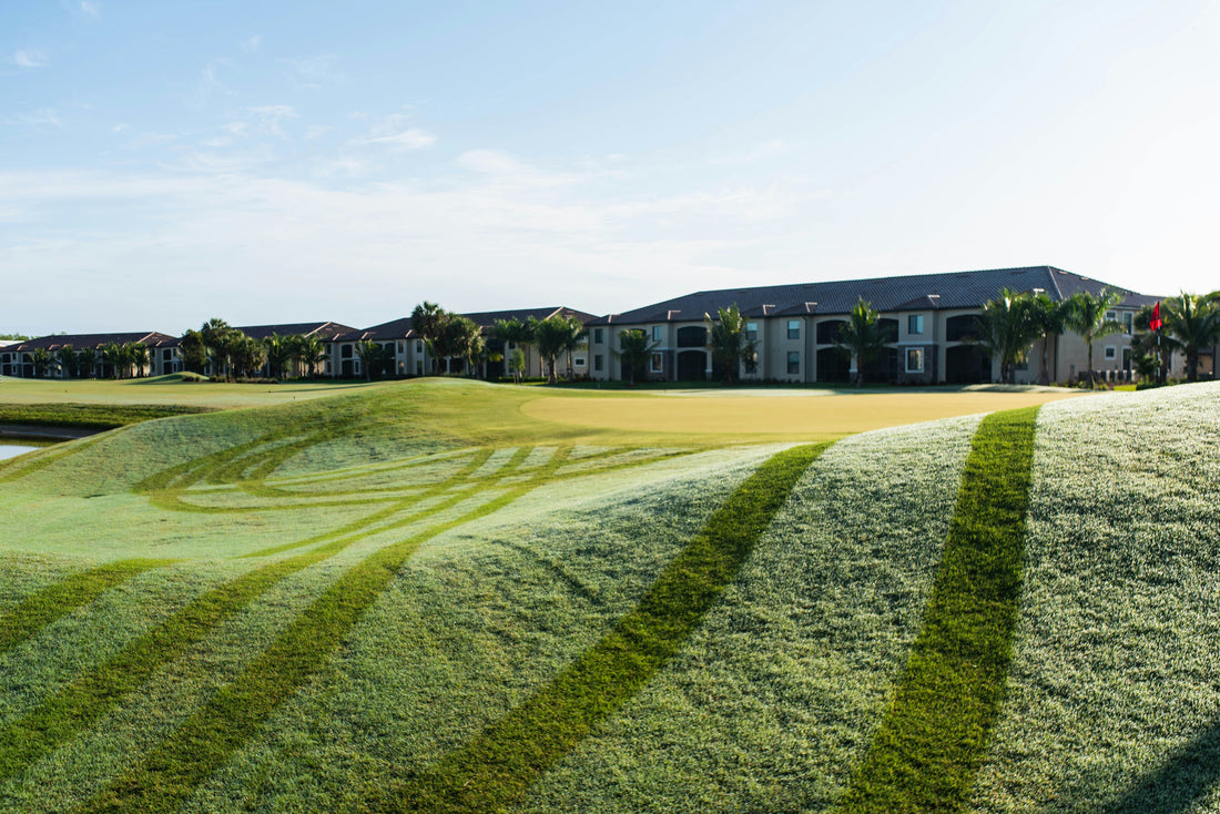 [GREENMENT LAB] Turf Engineering: The Science of a Precision-Cut Lawn Hello, this is GREENMENT.