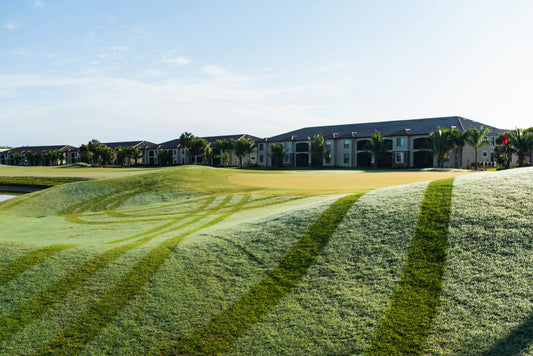 [GREENMENT LAB] Turf Engineering: The Science of a Precision-Cut Lawn Hello, this is GREENMENT.