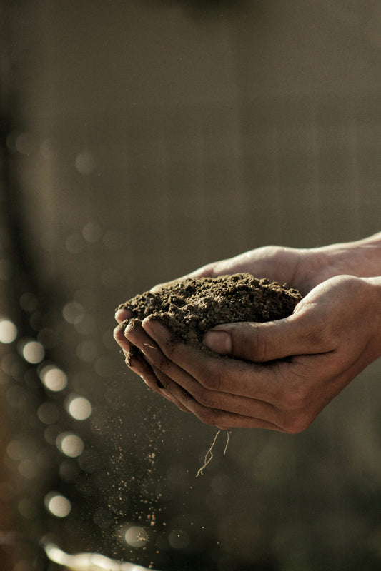 [GREENMENT LAB] Soil Mechanics: The Hidden Infrastructure of Plant Longevity