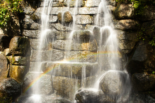 [GREENMENT LAB] Engineering the Micro-climate: The Physics of Natural Cooling in Your Backyard