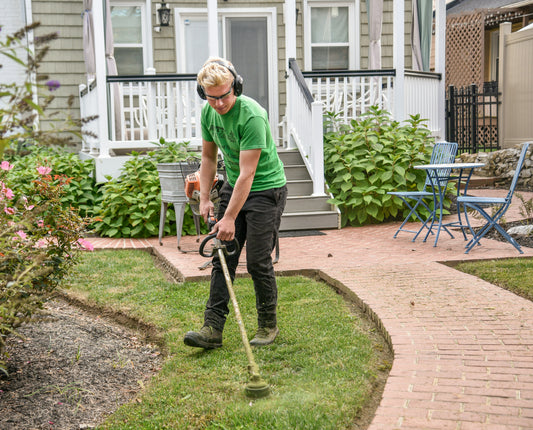 [GREENMENT] Why the Neighbor’s Grass Looks Greener (The Science of Root-First Growth)