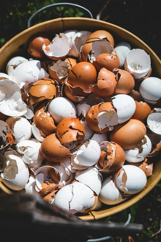 [GREENMENT] The "Eggshell Calcium Steep": How to fix yellowing leaf tips and blossom end rot without synthetic fertilizer