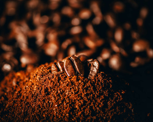 [GREENMENT] The "Coffee Ground Nitrogen Injection": How to fertilize potted plants using leftover morning coffee grounds
