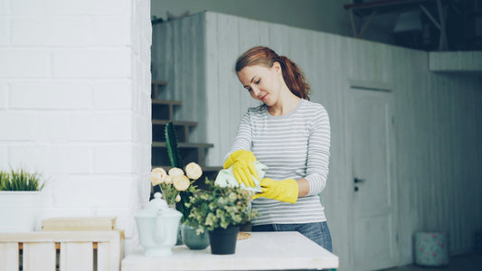 [GREENMENT] The "Banana Peel" Shine: Why dusty leaves are starving your indoor plants