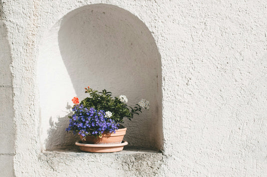 [GREENMENT] The "Yogurt Container Drip Irrigation Shield": How to protect garden plant roots from sun scorching during hot summer droughts