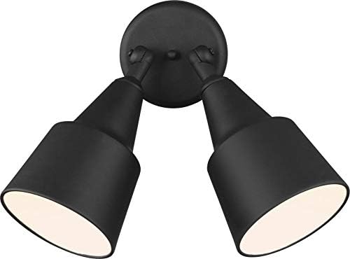 Generation Lighting 8560702-12 Outdoor Flood Light Adjustable Swivel Aluminum Flood Light, 2-Light 240 Total Watts, 13" H x 23" W, Black