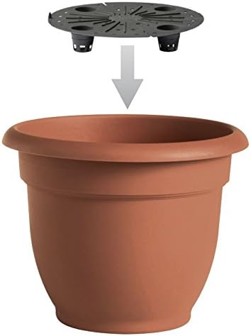 Bloem Ariana 12" Peppercorn Round Self-Watering Resin Planter Pot - Rolled Rim Indoor and Outdoor Gardening Planter