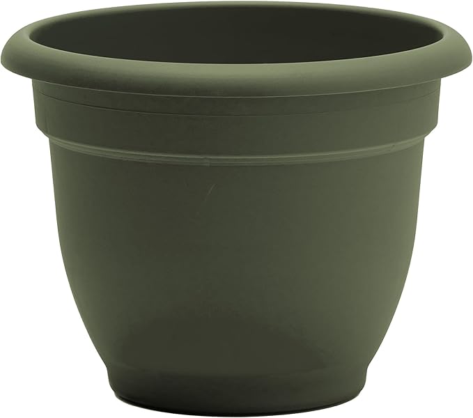 Bloem Ariana Pot Planter: 12" - Living Green - Durable Resin Pot, For Indoor and Outdoor Use, Gardening, Self Watering Disk Included, 3 Gallon Capacity