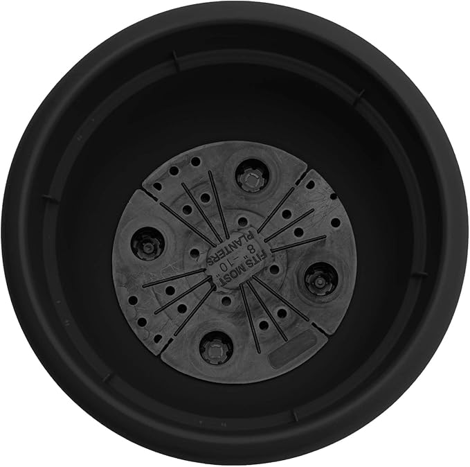 Bloem Ariana 6" Self-Watering Plastic Planter - Rolled Rim Indoor/Outdoor Garden Pot, Black