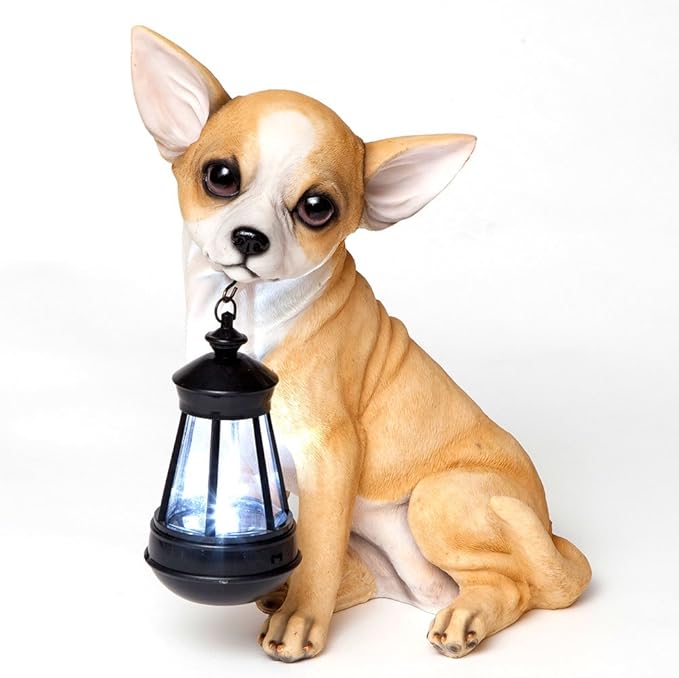 Bits and Pieces - Dog Solar Lantern Statue - Solar Powered Garden Lantern - Resin Dog Sculpture with LED Light - Outdoor Lighting and Décor (Chihuahua)