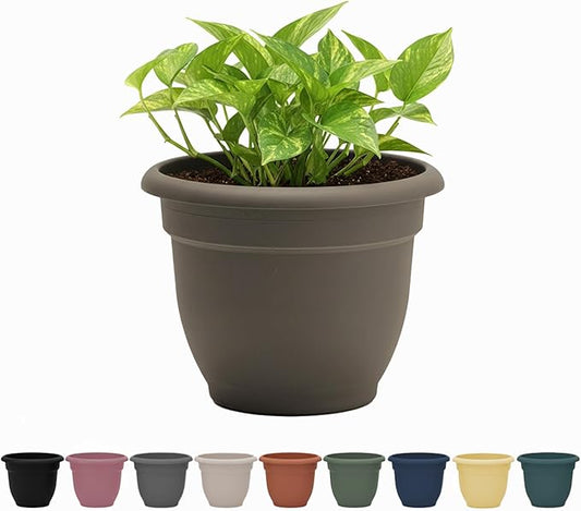 Bloem Ariana 12" Peppercorn Round Self-Watering Resin Planter Pot - Rolled Rim Indoor and Outdoor Gardening Planter