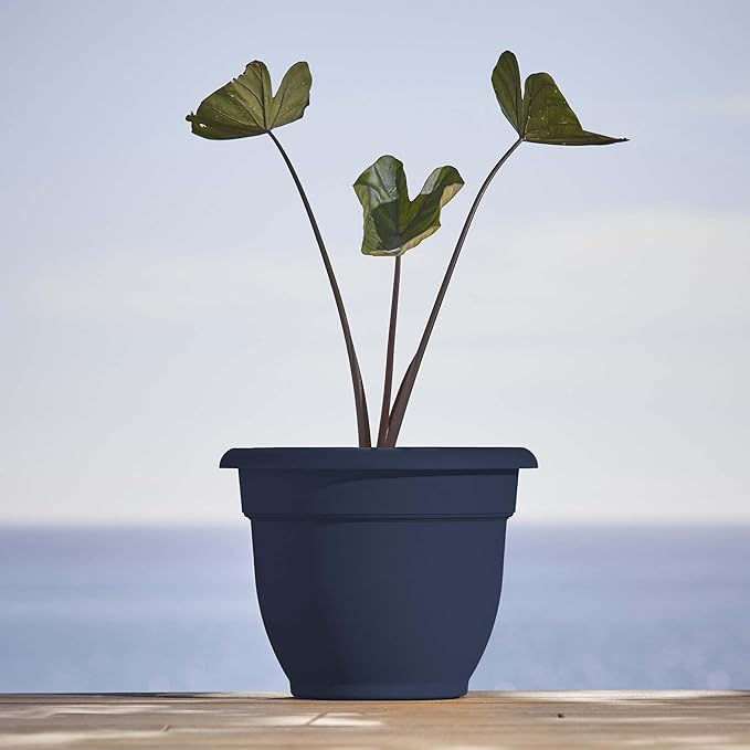 Bloem Ariana 12" Navy Round Self-Watering Resin Planter Pot - Rolled Rim Indoor and Outdoor Gardening Planter