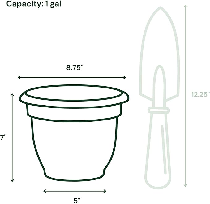 Bloem Ariana 8" Charleston Round Self-Watering Resin Planter Pot - Rolled Rim Indoor and Outdoor Gardening Planter