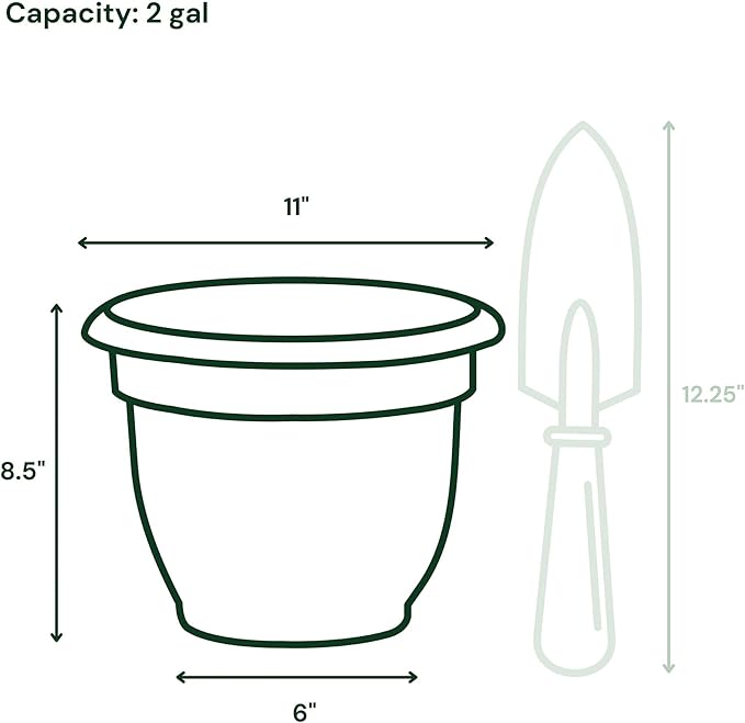 Bloem Ariana 10" Charcoal Round Self-Watering Resin Planter Pot - Rolled Rim Indoor and Outdoor Gardening Planter