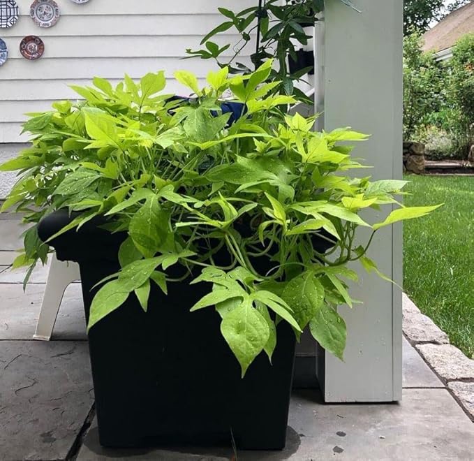 The HC Companies 24" Premium Plastic Terrazzo Square Planter 24"x24"x21.13" in Sandstone Color