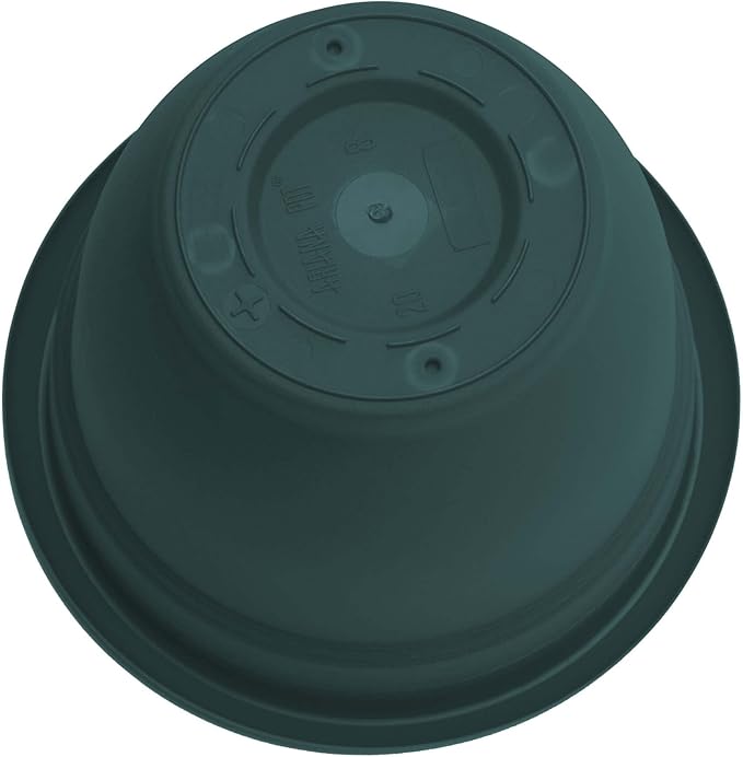 Bloem Ariana 8" Charleston Round Self-Watering Resin Planter Pot - Rolled Rim Indoor and Outdoor Gardening Planter