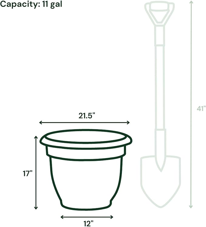 Bloem AP20908 Ariana Self Watering Planter 20", Charcoal Gray