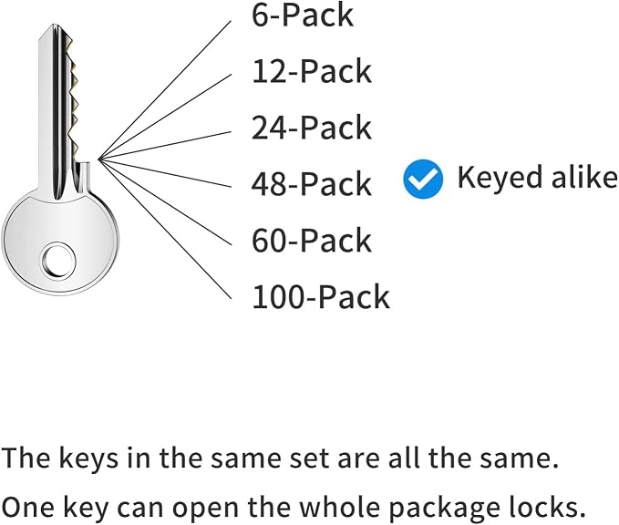 Padlocks with Same Key, LQYN 48 Pcs Laminated Keyed Padlock (1-9/16", 40mm), Keyed Alike Locks, Long Shackle, for Storage Locker, Hasp Latch, Toolbox, Sheds - Image 7