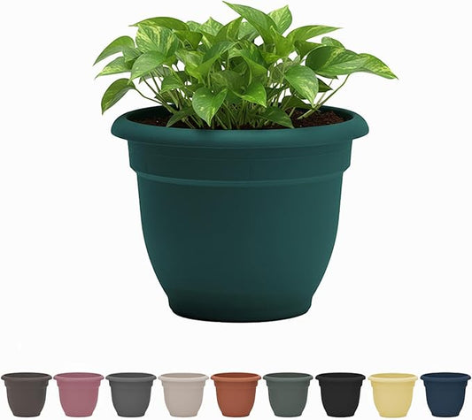 Bloem Ariana 8" Charleston Round Self-Watering Resin Planter Pot - Rolled Rim Indoor and Outdoor Gardening Planter