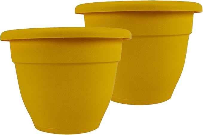 The HC Companies 10 Inch Caribbean Planter Pots with Drainage & Plug, Rolled Rim Plastic Planters for Indoor & Outdoor Plants, 2-Pack Decorative Flower Pots for Garden, Office & Home Decor, Honey