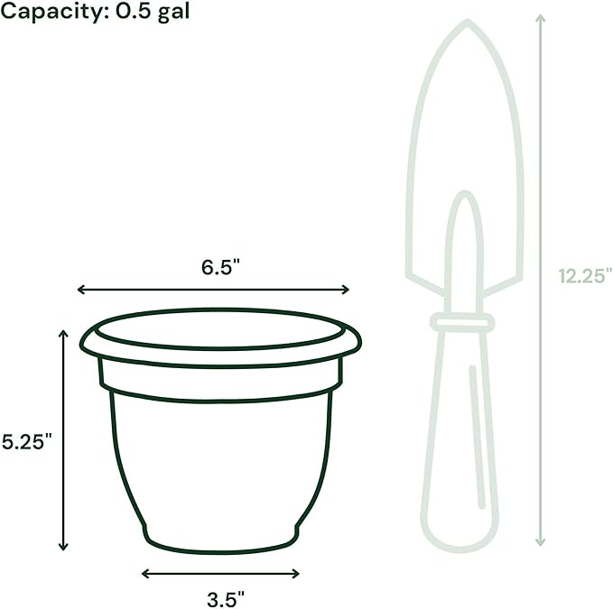 Bloem Ariana 6" Daffodil Round Self-Watering Resin Planter Pot - Rolled Rim Indoor and Outdoor Gardening Planter
