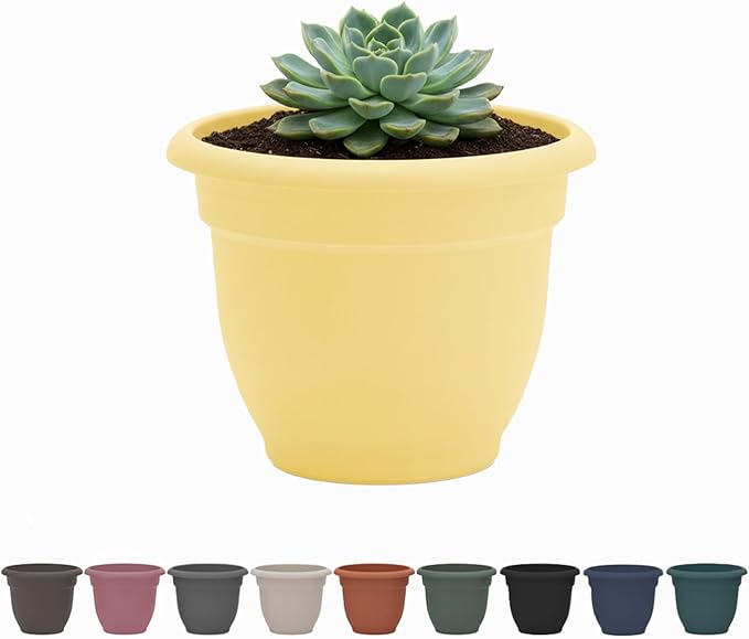 Bloem Ariana 8" Daffodil Round Self-Watering Resin Planter Pot - Rolled Rim Indoor and Outdoor Gardening Planter