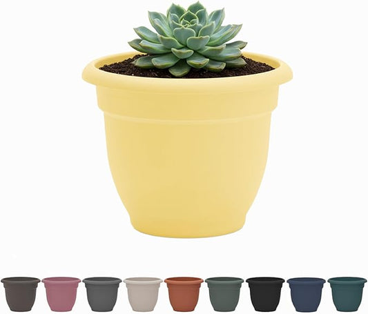 Bloem Ariana 8" Daffodil Round Self-Watering Resin Planter Pot - Rolled Rim Indoor and Outdoor Gardening Planter