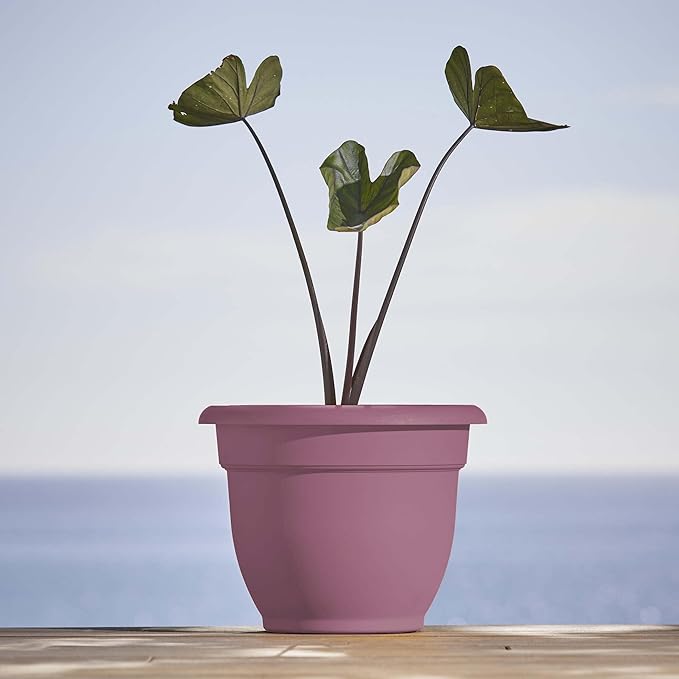 Bloem Ariana 10" Dusty Rose Round Self-Watering Resin Planter Pot - Rolled Rim Indoor and Outdoor Gardening Planter