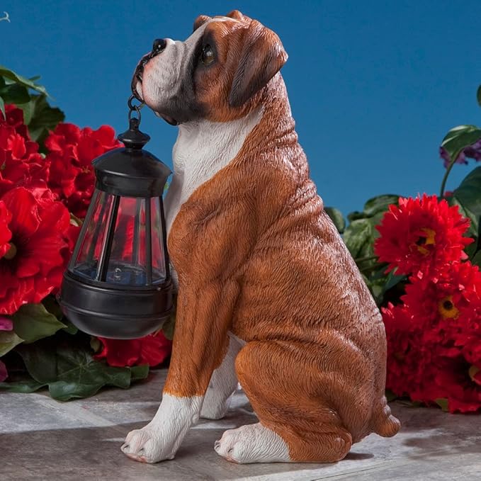 Bits and Pieces - Dog Solar Lantern Statue - Solar Powered Garden Lantern - Resin Dog Sculpture with LED Light - Outdoor Lighting and Décor (Boxer)