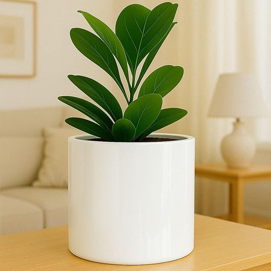 Fox & Fern 12" Large Plant Pot Fits Plant Stand - Drainage Plug - Outdoor Indoor - Matte White