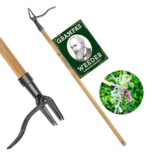 Grampa's Weeder - The Original Stand Up Weed Puller Tool with Long Handle - Made with Real Bamboo & 4-Claw Steel Head Design - Easily Remove Weeds Without Bending, Pulling, or Kneeling. by GrampasWeeder