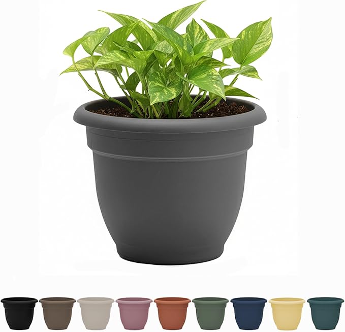 Bloem Ariana 10" Charcoal Round Self-Watering Resin Planter Pot - Rolled Rim Indoor and Outdoor Gardening Planter