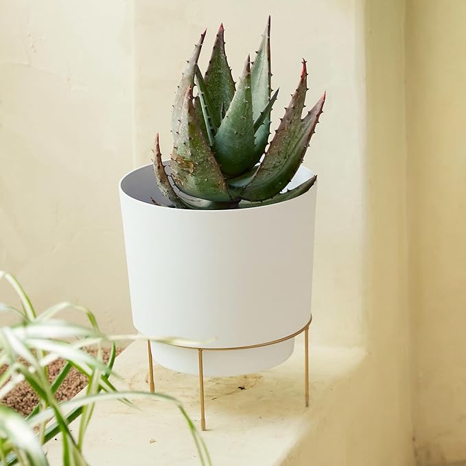 Bloem Hopson Decorative Resin Cachepot with Metal Stand, 10" Indoor and Outdoor Planter with Gold Metal Stand, White
