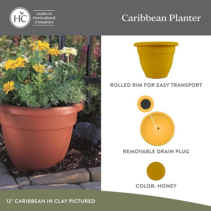 The HC Companies 6 Inch Caribbean Planter Pots with Drainage & Plug, Rolled Rim Plastic Planters for Indoor & Outdoor Plants, 4-Pack Decorative Flower Pots for Garden, Office & Home Decor, Honey