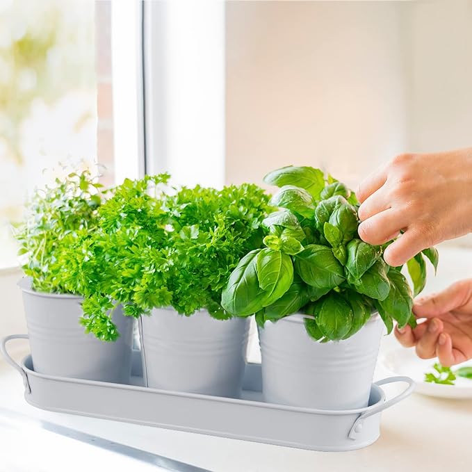 Herb Garden Planter Set ?€? 3-Pcs Set Galvanized Metal Herb Planters for Indoors Plants with Tray ?€? Indoor Plant Pots for Apartment Window, Balcony, Garden ?€? Potting Pots for Herbs and Flowers