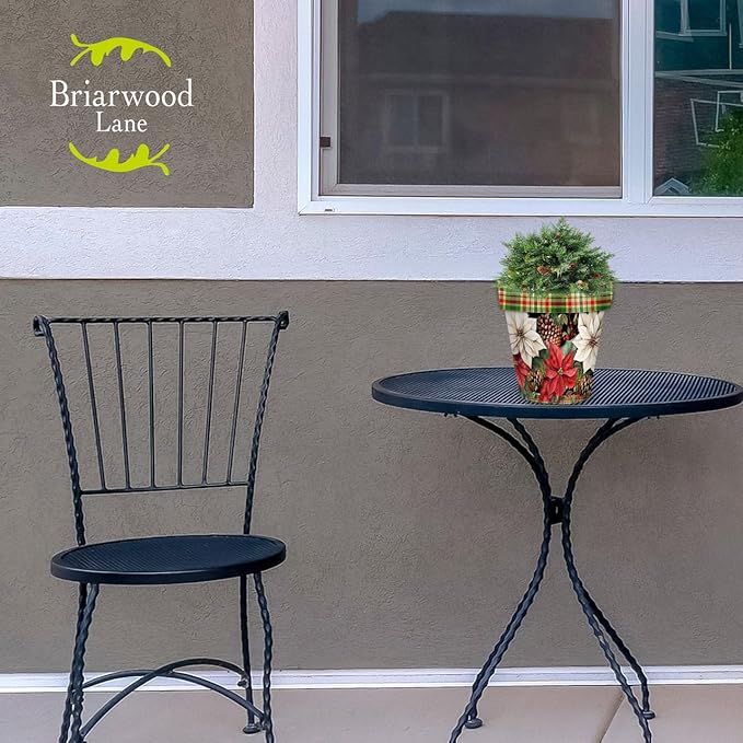 Briarwood Lane Mixed Poinsettias Small Planter