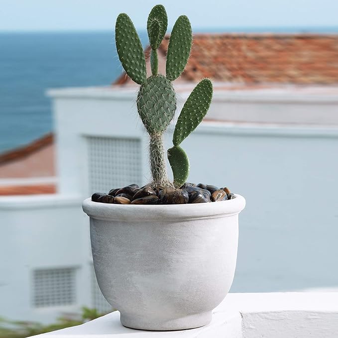 Crescent Garden Agave Planter, Classic Lightweight Resin Planter - UV-Resistant Flower Pots - Indoor & Outdoor Pot for Flowers, Houseplant, Herbs, 14" W x 11" H (Rust)