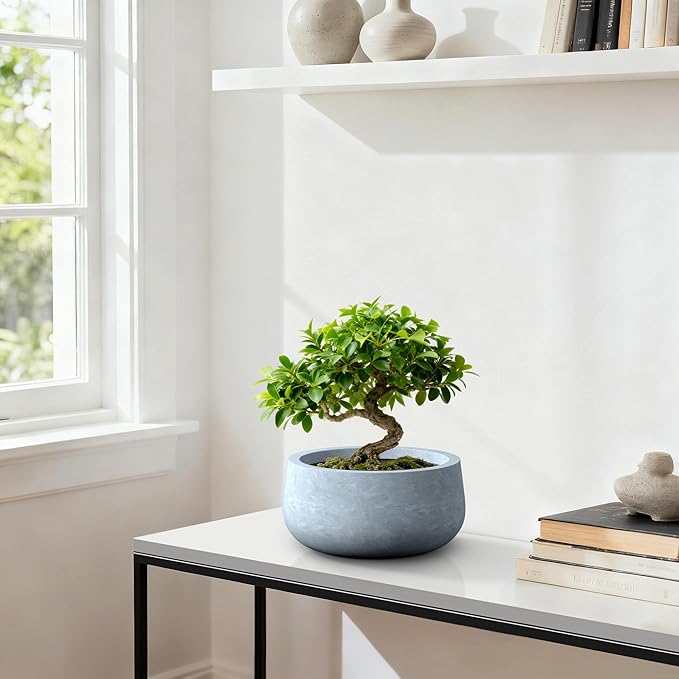 Kante 15.7" Dia Round Concrete Planter, Outdoor Indoor Garden Plant Pots with Drainage Hole and Rubber Plug, Modern Curvaceous Design, Slate Gray